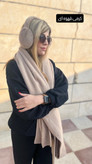 گوشگیر