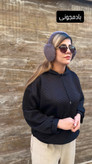 گوشگیر