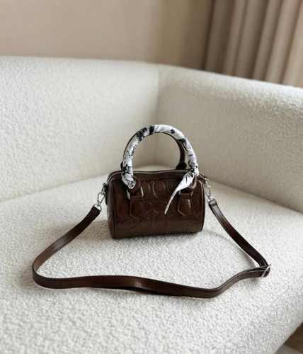 مینی بگ صندوقی coach